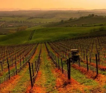 Chianti *