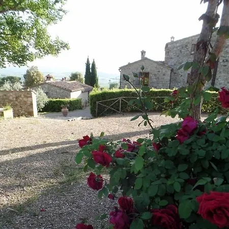 Chianti *